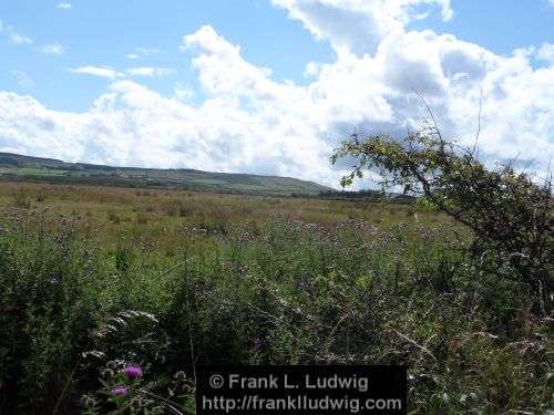 Around Downpatrick Head